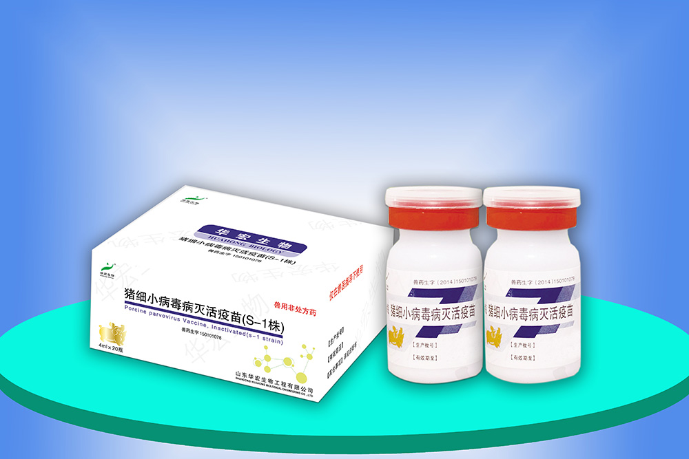 豬細(xì)小病毒滅活疫苗