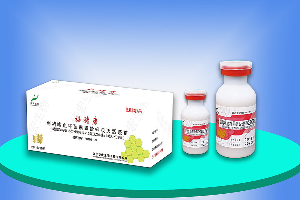 副豬嗜血桿菌病四價蜂膠滅活疫苗