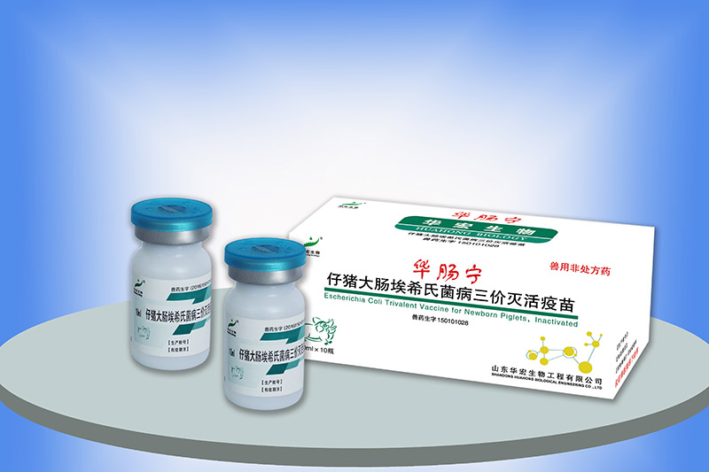 仔豬大腸埃希氏菌三價滅活疫苗
