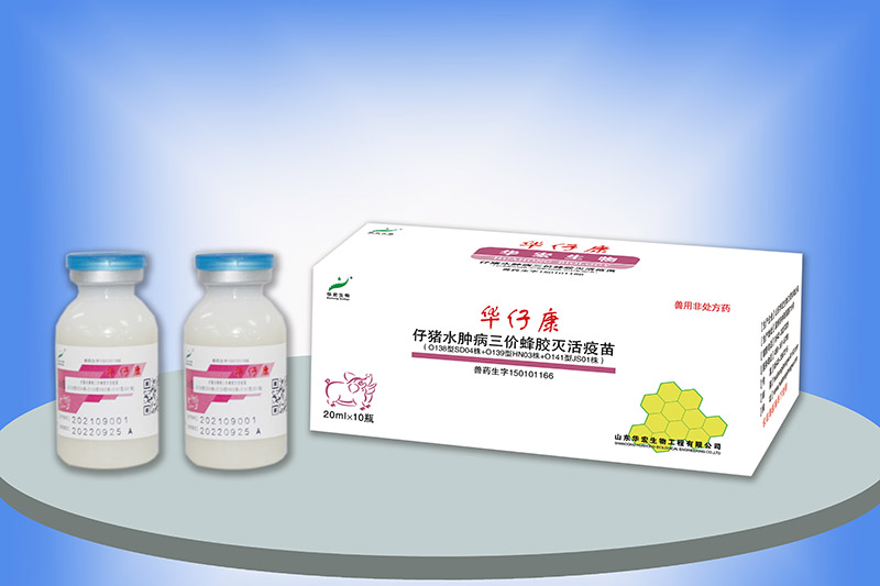 仔豬水腫病三價(jià)蜂膠滅活疫苗