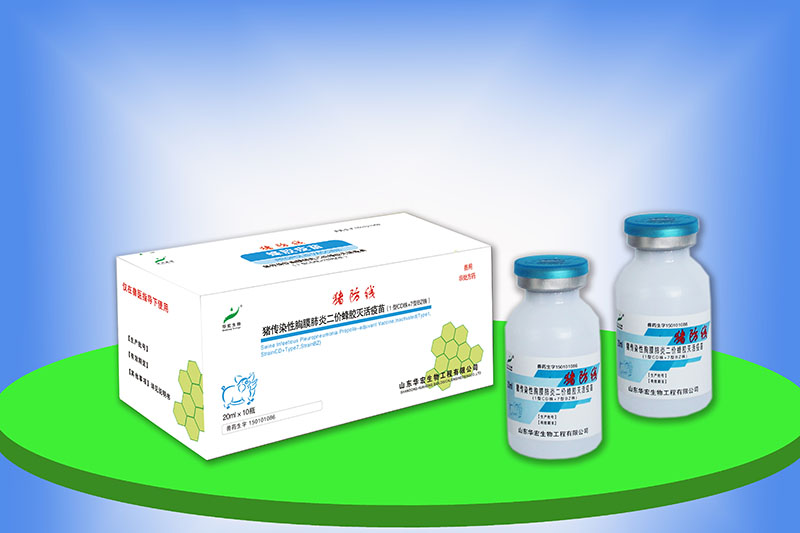 豬傳染性胸膜肺炎二價(jià)蜂膠滅活疫苗（1型CD株+7型BZ株）