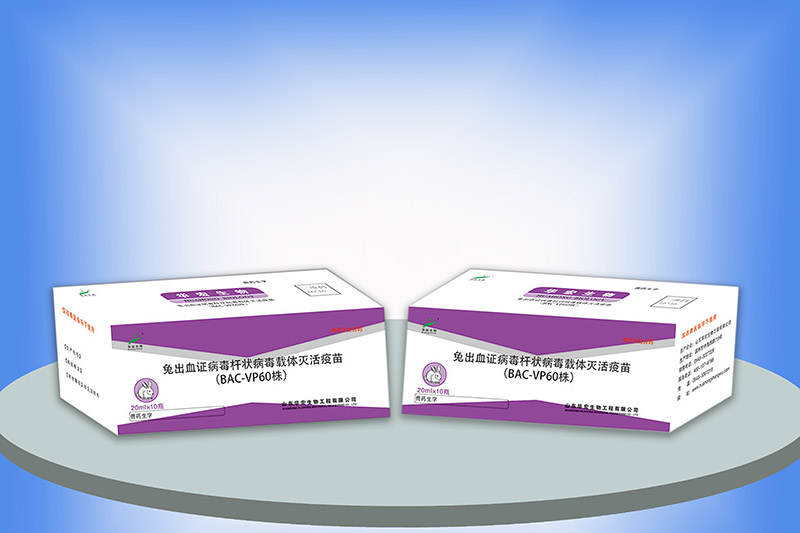 兔出血癥病毒桿狀病毒載體滅活疫苗（BAC-VP60株）