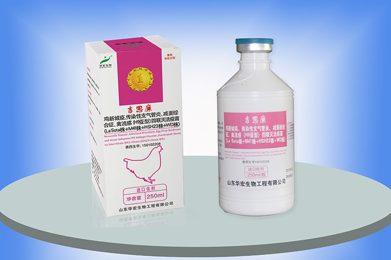 雞新城疫、傳染性支氣管炎、減蛋綜合征、禽流感（H9亞）四聯(lián)滅活疫苗