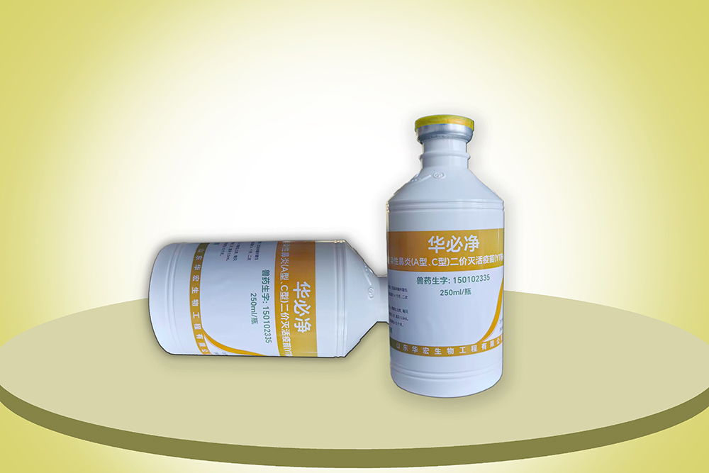 雞傳染性鼻炎（A型、C型）二價(jià)滅活疫苗（YT株+JN株）